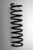 SPIDAN 49178 Coil Spring